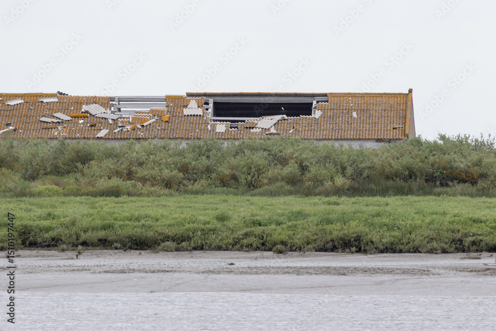 Obraz premium Damaged roof tiles on abandoned building by tagus river, lisbon