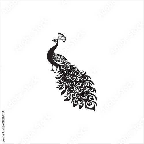 graphic image of a peacock, minimalism, black on a white background
