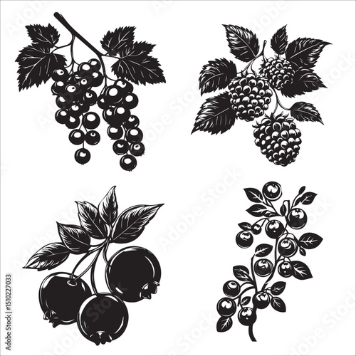 image of a set with different berries, logo, black and white vector graphics, minimalism
