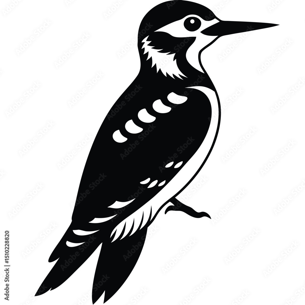 Obraz premium woodpecjer vector