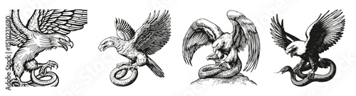 Engaging Illustrations of Mythical Birds with Serpents in Artwork, vector illustration, engraving design, logo design set, black and white line