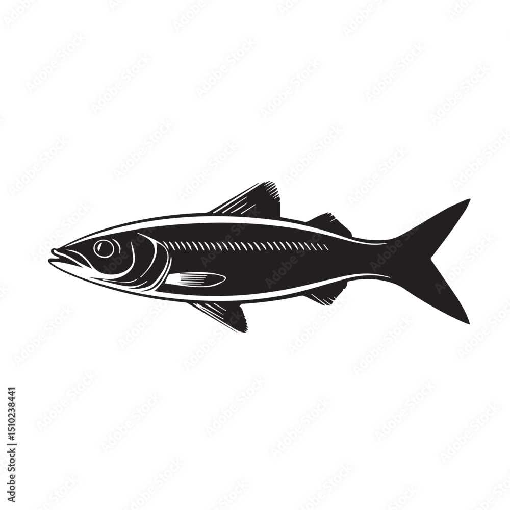 Fototapeta premium vector image of a black and white sturgeon fish, vector, black and white graphics 