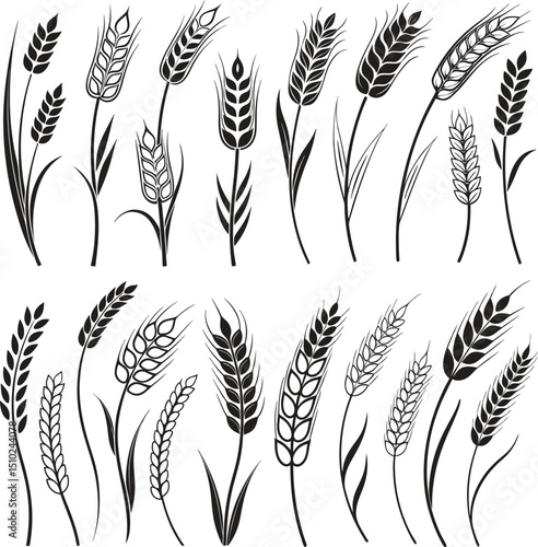 Wheat ear vector icons. Wheat icon. Cereal Grain linear and full pictogram. Agriculture symbol. Grain icon vector