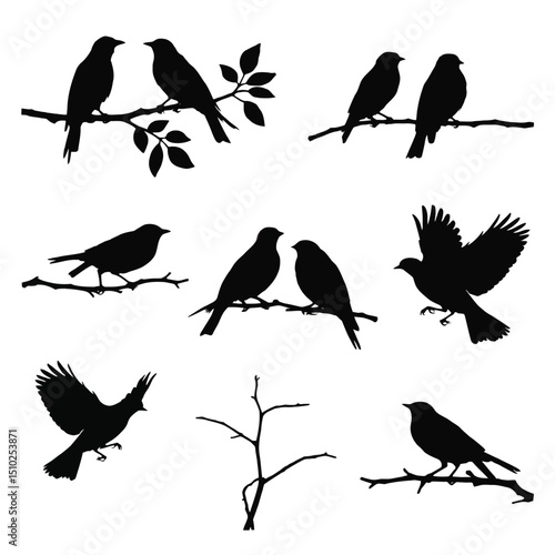 Birds silhouette showing flying and sitting bird poses. 