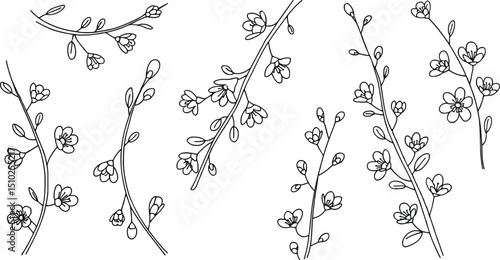 Vector line art of thin botanical branches with leaves and curves. 