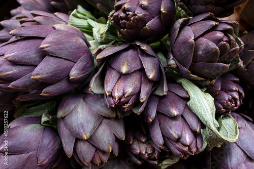 Fresh purple artichokes, with natural gradient from deep violet to muted green, edible flower buds of cynara scolymus plant prized in the Mediterranean cuisine for its unique texture and earthy flavor