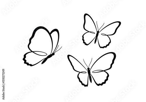 3 butterflies drawing. This image showcases three butterflies, graceful winged insects, depicted in various poses, emphasizing their light and delicate nature. Vector sketch line art draw.