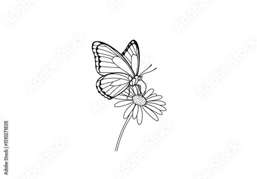 Butterflies on flowers drawing. This image features butterflies on flowers, a serene sketch capturing the delicate winged insects interacting with blooming flora. Vector sketch line art draw.