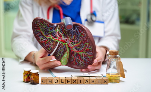 Canvastavla A comprehensive and detailed lung model used in medicine to effectively demonstr