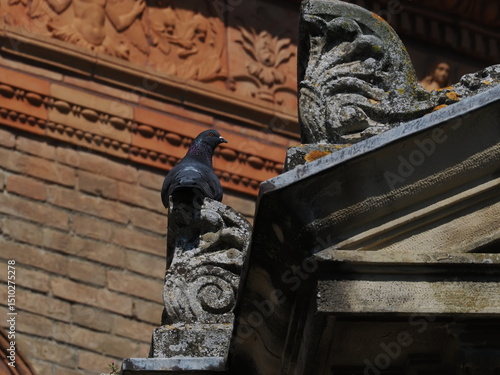 A pigeon on a grave at Certosa monumental cemetery. Ferrara, Northern Italy.