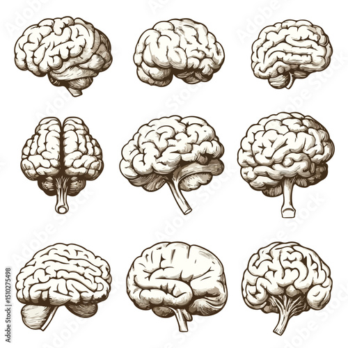 Professional Set of Creative Brains Emblem Vector Illustration for Marketing Collateral