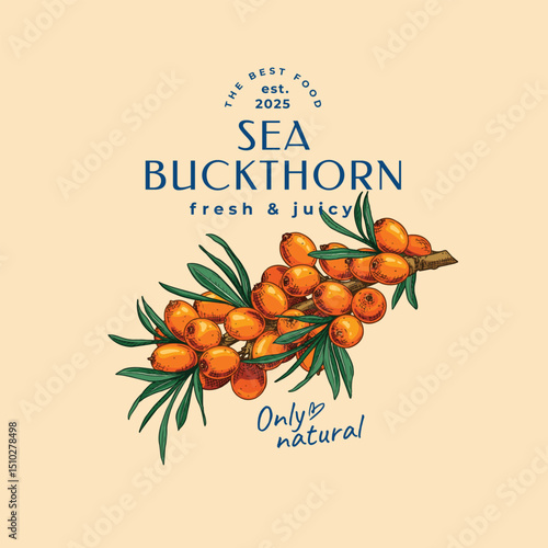 Emblem Fresh and Juicy with hand drawn sea ​​buckthorn branch.  Vector illustration.