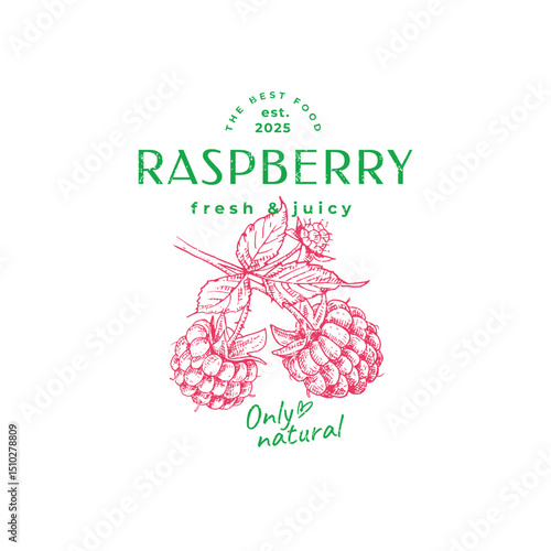 Logo design over hand drawn raspberry branch. Vector illustration in vintage style.