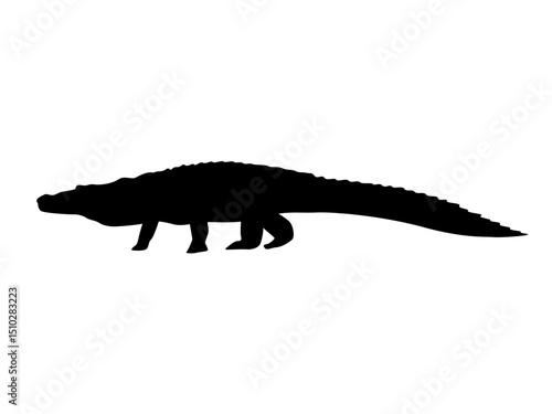 Silhouette of Nile crocodile. Wild reptile of Africa. Realistic wild vector animal