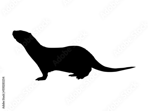 Silhouette of Eurasian otter Lutra lutra. The Eurasian river otter. Wild semiaquatic mammal of Eurasia. Realistic vector animal