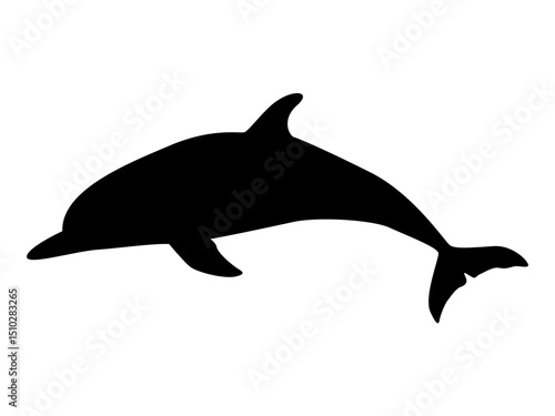 Dolphin silhouette. Realistic vector secondary water mammals