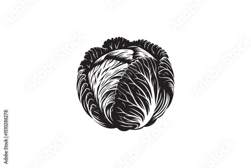 A black-and-white cabbage against a white background in a straightforward and inconspicuous vector silhouette