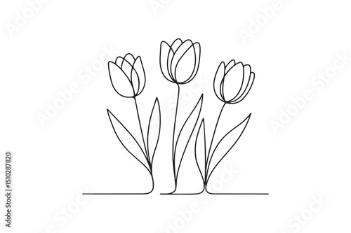 tulips continuous one line drawing minimalism design