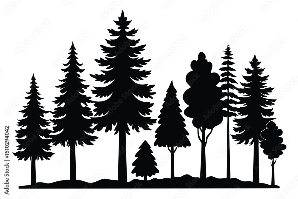 Fototapeta premium Silhouettes of various evergreen and deciduous trees in a forest