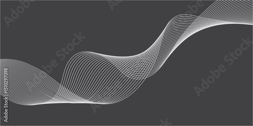 Abstract black and white wave pattern with digital lines and smooth curves background