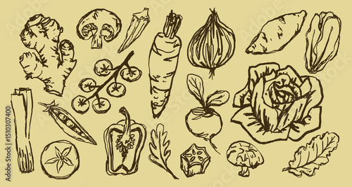 Doodle Elements of Vegetables and Fruits - Hand-Drawn Illustration