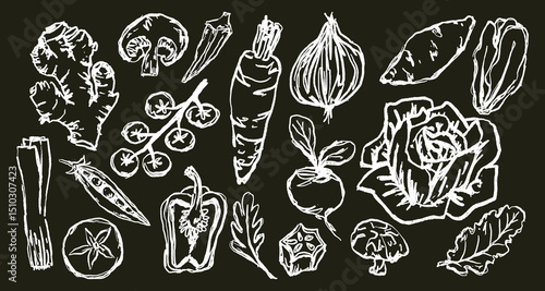 Doodle Elements of Vegetables and Fruits - Hand-Drawn Illustration