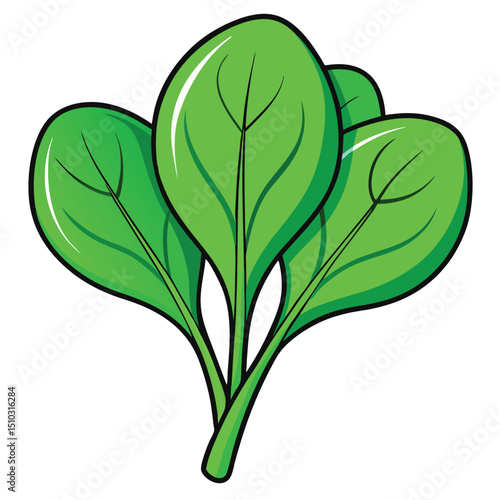 Fresh, vibrant green spinach leaves, healthy and nutritious, perfect for salads or cooking.