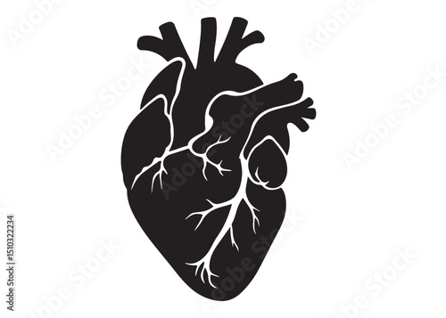 human heart logo silhouette vector illustration,  human heart logo icon, heart human organs medicine medical vector silhouette, human heart vector logo silhouette on a white background