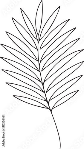 Areca Palm Leaf Faux Plant Line Drawing Vector