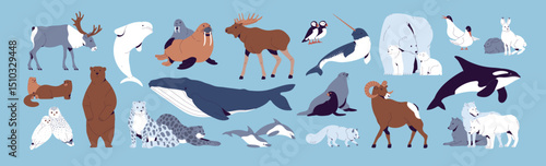 Set of North animals. Wild fauna of Greenland, Scandinavia: polar bear, white fox, arctic wolves, orca whale, snow leopard, owls, terns, antarctic deer, reindeer. Flat isolated vector illustrations