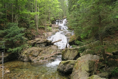 Wallpaper Mural Wasser fließt im Frühling den Rißlochwasserfall hinab in der Rißlochschlucht in Bodenmais. Der Ort liegt im Bayerischen Wald.  Torontodigital.ca