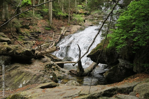 Wallpaper Mural Im Frühjahr fließt Wasser den Rißlochwasserfall in Bodenmais hinab in der Rißlochschlucht. Der Ort liegt im Bayerischen Wald.  Torontodigital.ca