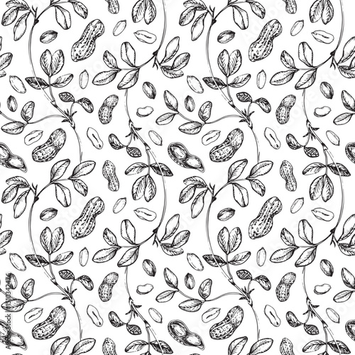 Peanut seamless vector pattern hand drawn with ink. Graphic ornament with whole and cut nuts in shell and peeled kernels. For label design