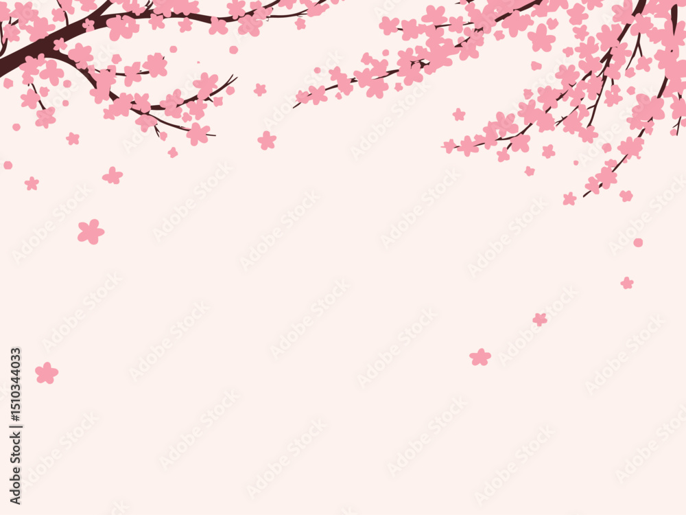 Cherry Blossoms Background Cherry Blossoms Background