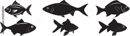 Detailed Fish Silhouettes Collection – Vector Freshwater and Ocean Species Set