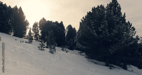 Snowing in the mountains, Alpine ski resort