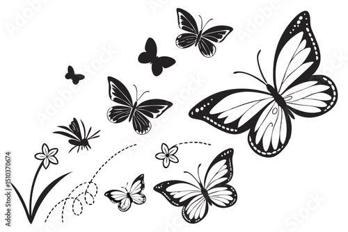 Different Butterflies Set – Colorful Vector Illustration of Various Butterfly Species

