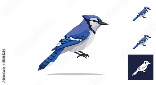 Stylized Blue Jay Illustration with Multiple Renderings