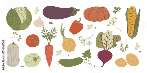 Vegetables hand-drawn Set in boho style cabbage, tomato, beetroot, onion, corn, pumpkin, and other farm veggies. Perfect for food branding, rustic packaging,eco labels, and fall harvest designs