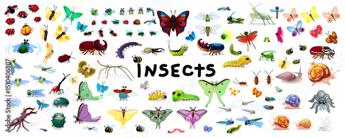 vector cartoon color insects set isolated on transparent background. Hand drown design elements.
