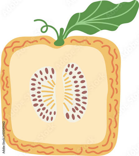 Artistic hand drawn illustration of square melon with leaf. Vector drawing of half of sweet fruit with seeds and pulp isolated on white background. Drawing of summer vegan dessert for your printing.