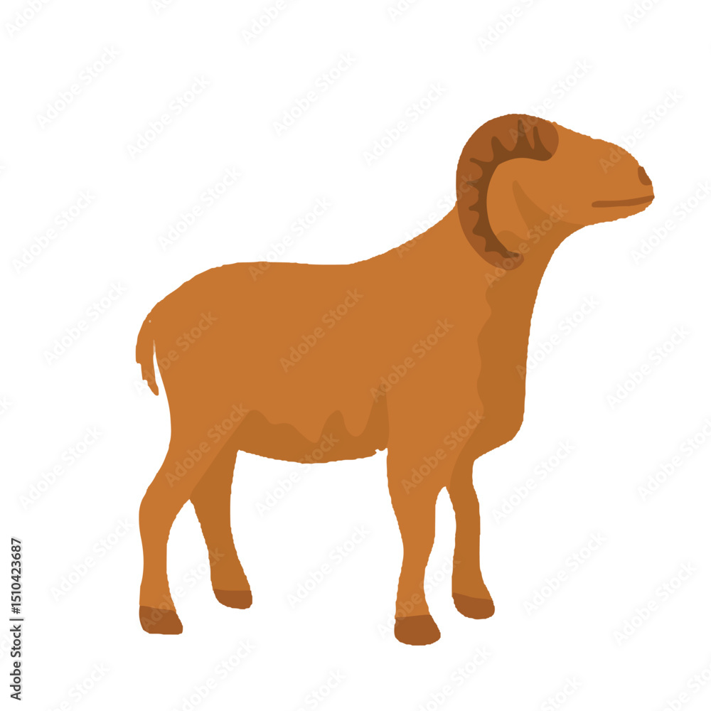 Goat male Goat male