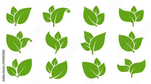 Eco green color leaf vector logo flat icon set. Isolated leaves shapes on white background. Bio plant and tree floral forest concept design.