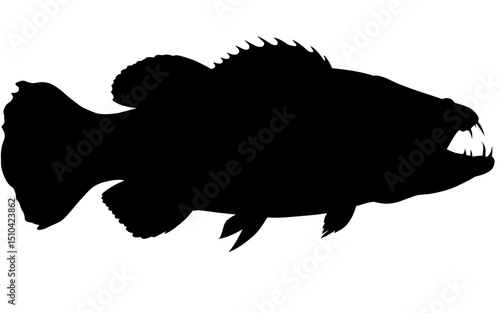 Silhouette vector of a fish predator.