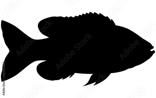 Silhouette vector of a fish predator.