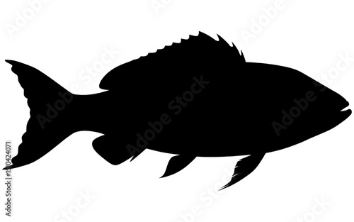 Silhouette vector of a fish predator.