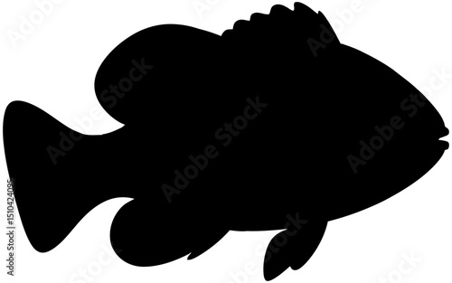 Silhouette vector of a sea fish in side profile, showcasing a streamlined body and fins, depicted in solid black with clean lines, symbolizing marine life and ocean wildlife.