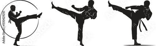 Mastering Martial Arts: Techniques, Training, and Expertise
