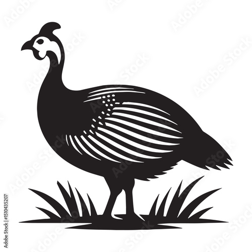 Subtle Guinea Fowl silhouette in soft profile – Guinea Fowl illustration – Minimalist Guinea Fowl vector – Bird silhouette – Bird vector

