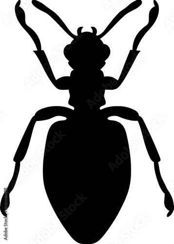 Silhouette of a parasitic wasp, symmetrical front view, isolated, minimalist design







